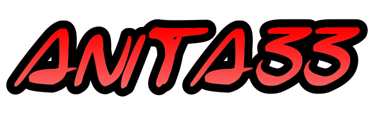 LOGO ANITA33